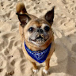 Meet your Posher, Roen